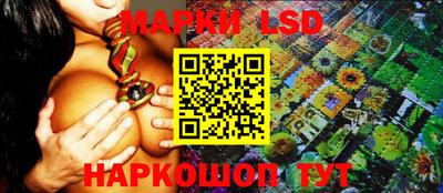 кокс Можга