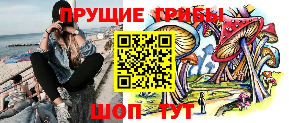 Псилоцибиновые грибы мицелий  Вход с VPN  Удомля  Псилоцибиновые грибы MAGIC MUSHROOMS 