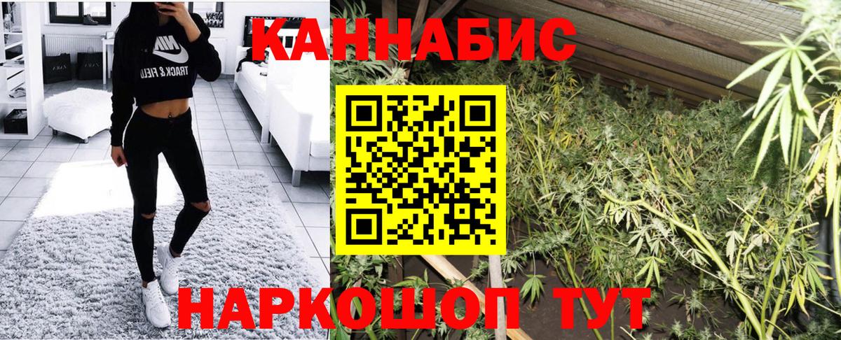 Марихуана конопля Удомля